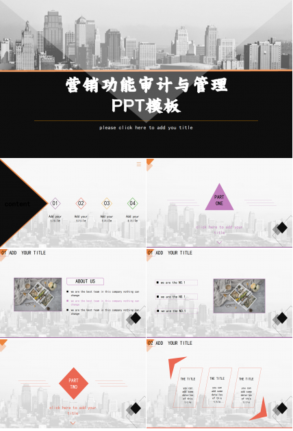 营销功能审计与管理PPT模板