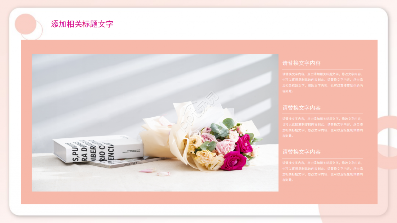 美容香菇PPT模板介绍