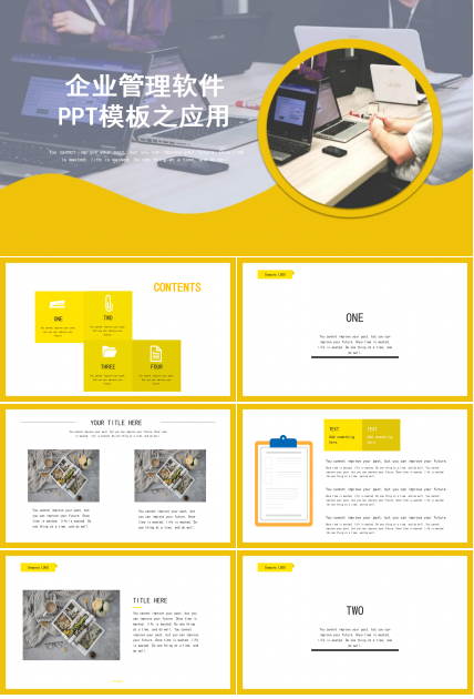 企业管理软件PPT模板之应用