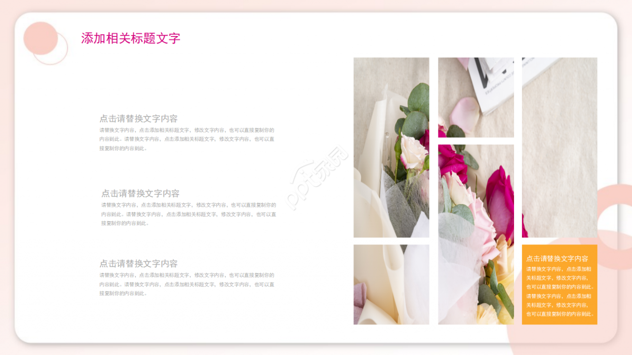 美容香菇PPT模板介绍