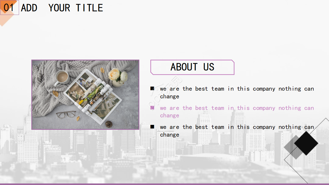 营销功能审计与管理PPT模板