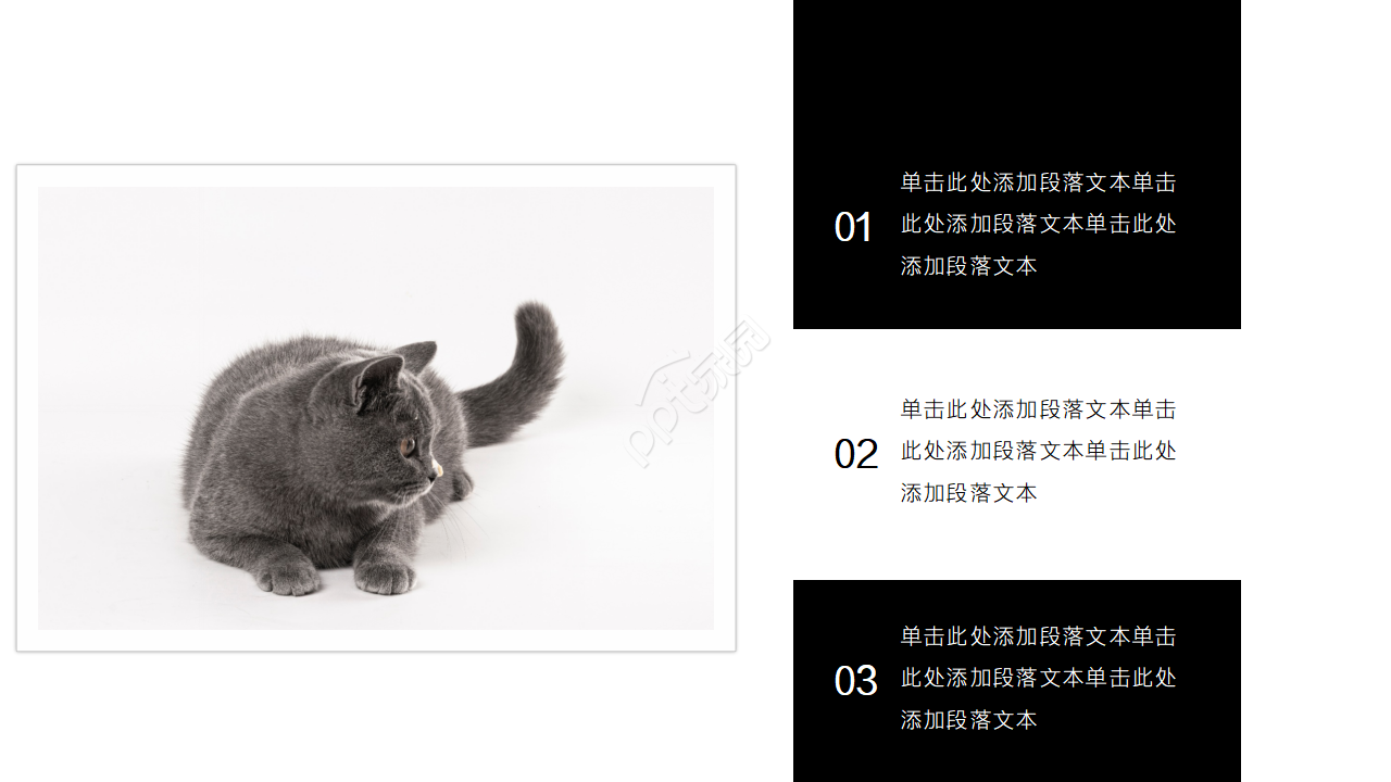 黑白简约ppt模板