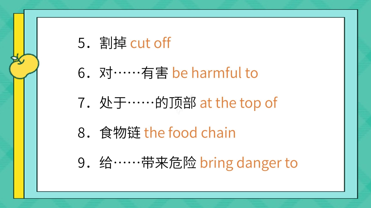 卡通绿色简约英语教学说课PPT课件