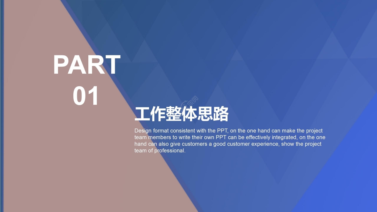 炫彩销售工作总结项目汇报PPT模板
