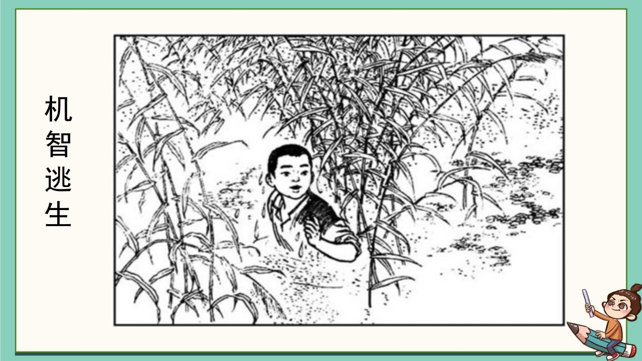 卡通清新语文小英雄雨来教学PPT课件