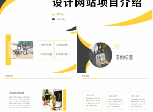 商务简约开发设计网站项目介绍ppt模板下载推荐
