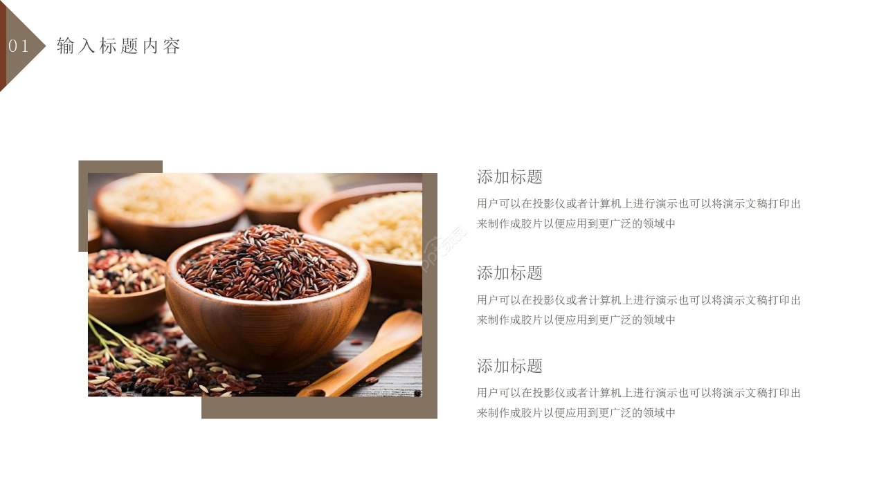 个性商务五谷养生食品行业ppt模板