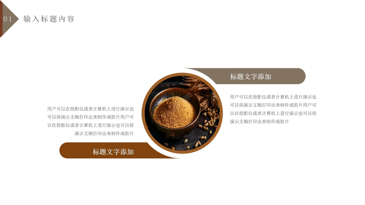 个性商务五谷养生食品行业ppt模板