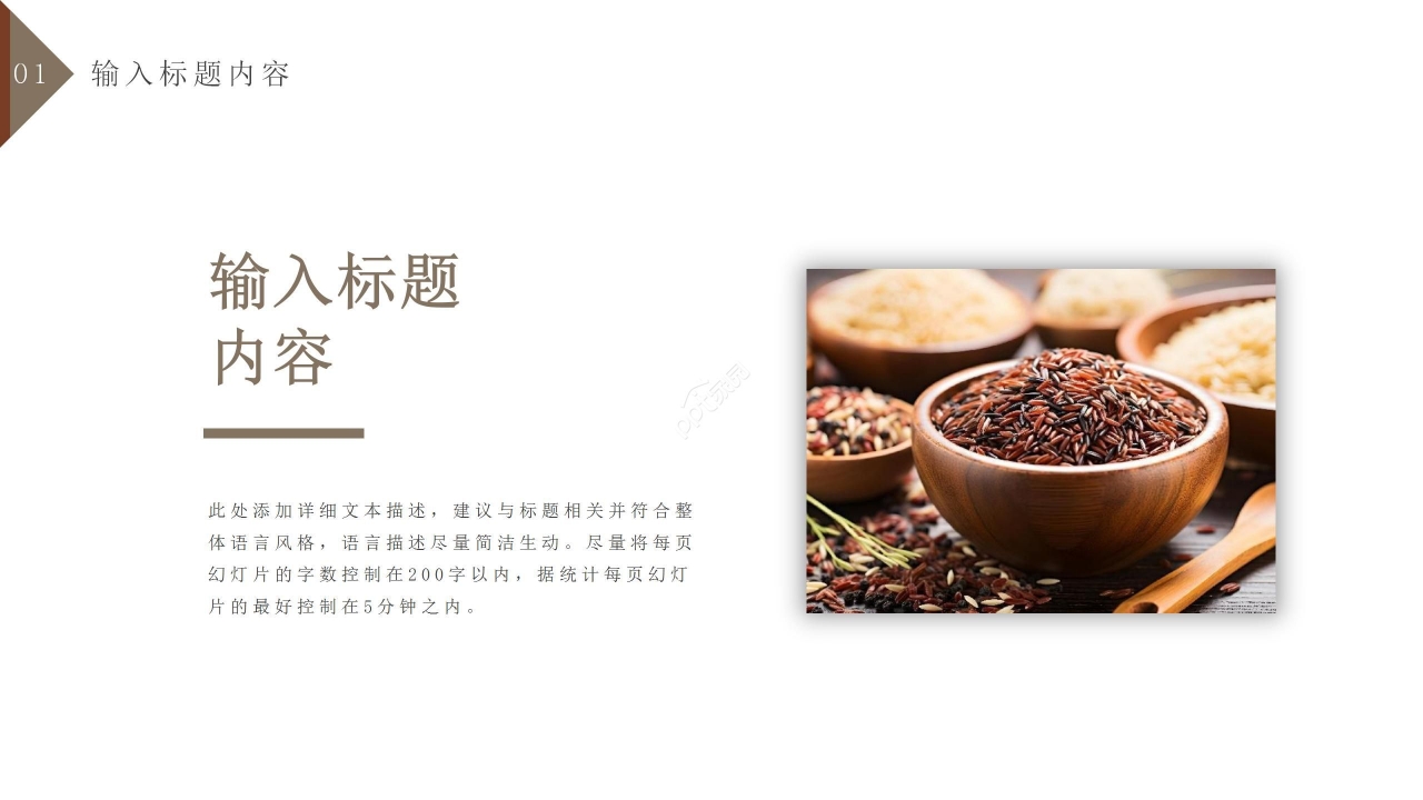 个性商务五谷养生食品行业ppt模板