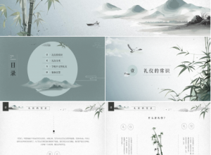 小学生文明礼仪模板下载推荐