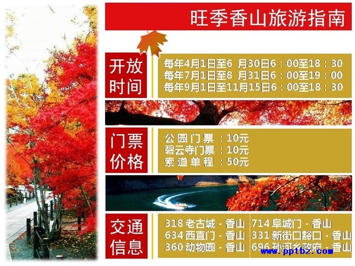 示例：文字多的ppt页面怎么安排