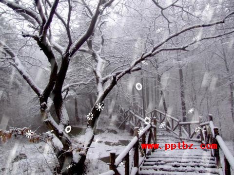 另类思路制作ppt雪花飘落效果