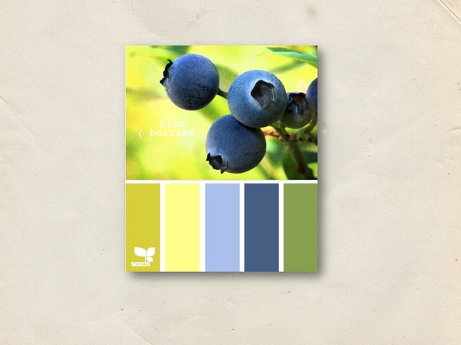 ppt根据图片来配色