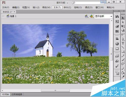 ppt2013全屏播放时怎么对图片进行缩放?