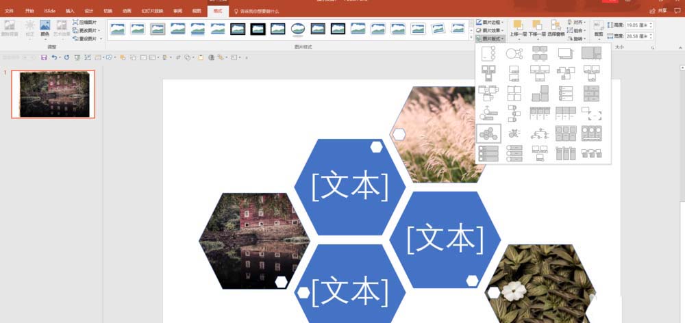 PPT多图怎么排版? ppt图片排版技巧