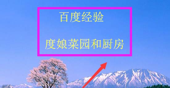 ppt怎么插入背景图? ppt做漂亮背景图片的教程