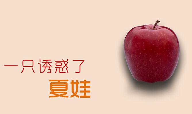 ppt是什么：ppt是什么意思？