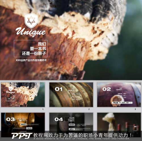 品牌宣传策略提案PPT作品欣赏