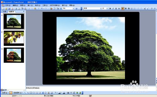 PPT中怎么让背景音乐一直播放