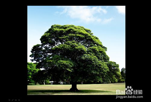 PPT中怎么让背景音乐一直播放