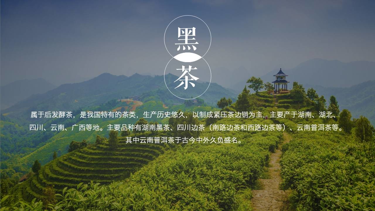 如何让PPT从丑小鸭变白天鹅 「整容计划」PPT美化教程第7期