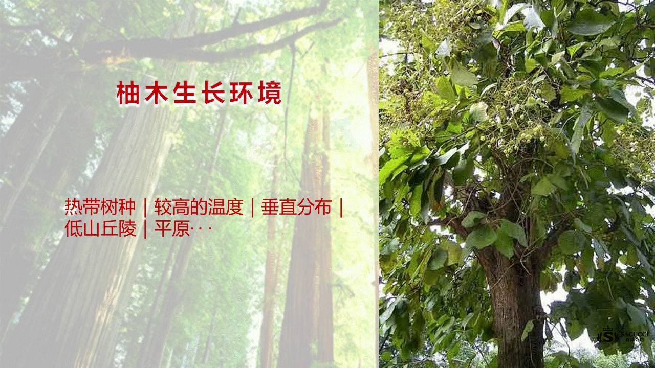 企业产品介绍PPT的设计 「整容计划」PPT美化教程第26期