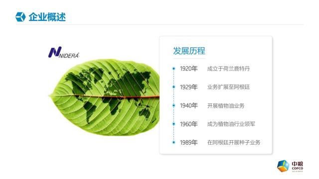 一起来改几页PPT 「整容计划」PPT美化教程第42期
