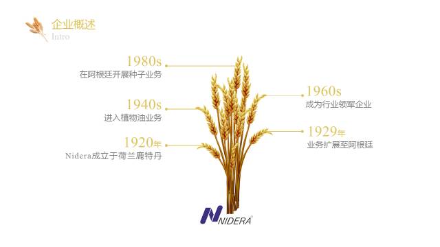一起来改几页PPT 「整容计划」PPT美化教程第42期