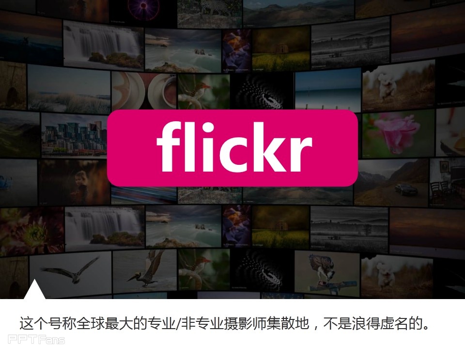 PPT去哪里找图——我懂个P系列教程第二季