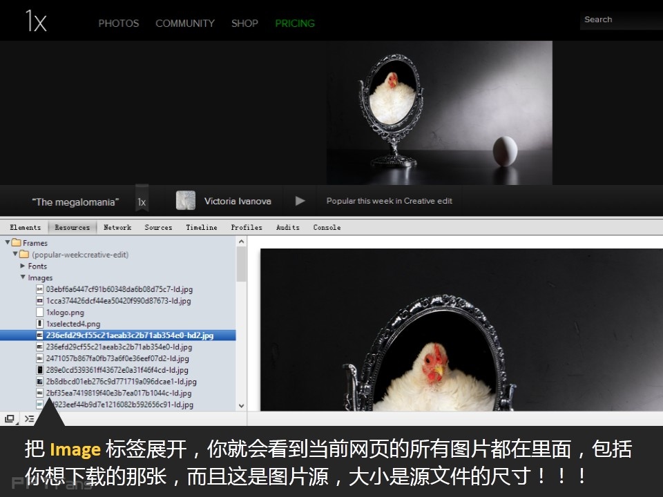 PPT去哪里找图——我懂个P系列教程第二季