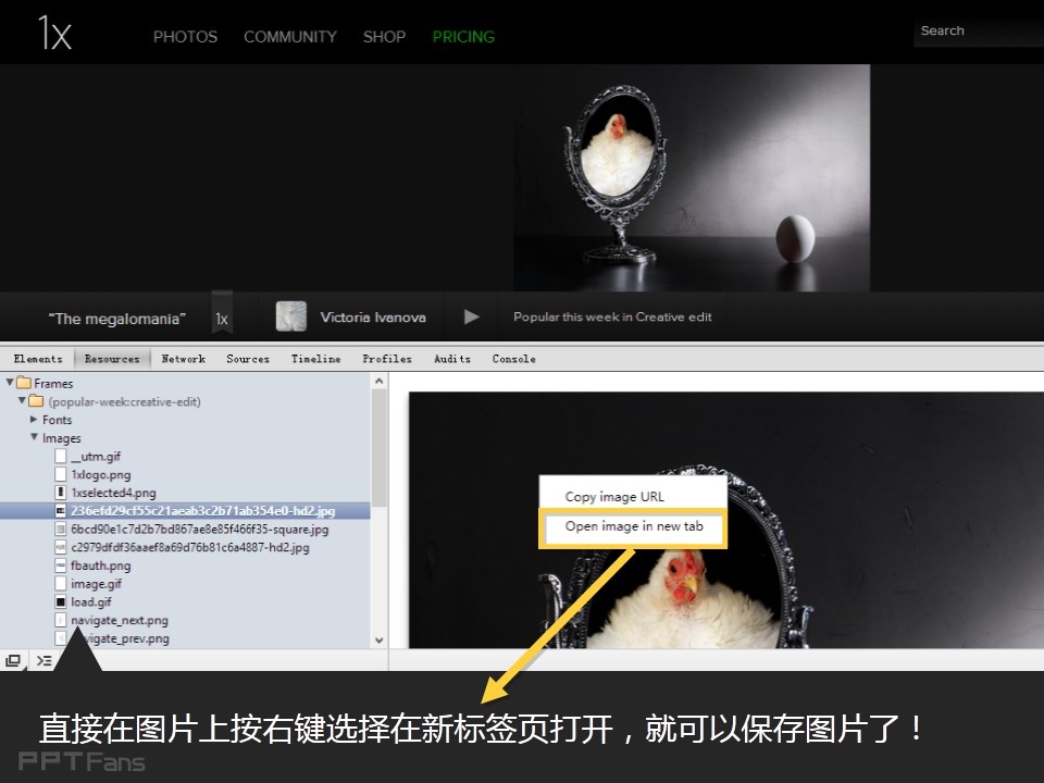 PPT去哪里找图——我懂个P系列教程第二季