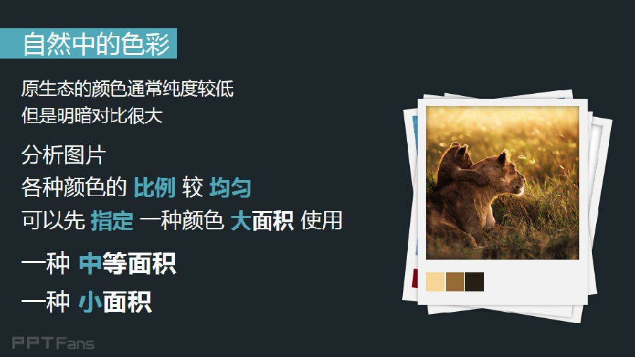 3分钟色彩速成班（05）：找回生活的感受力