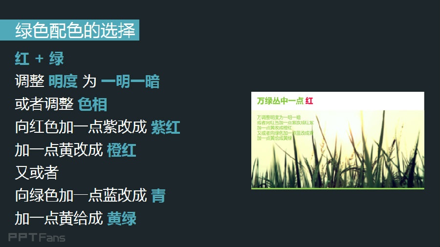 3分钟色彩速成班（09）：不同颜色的能量场之绿色