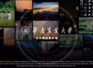 多张PPT背景图片的排版方式