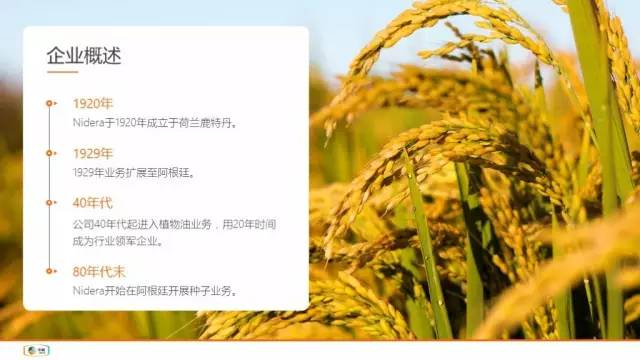 一起来改几页PPT 「整容计划」PPT美化教程第42期
