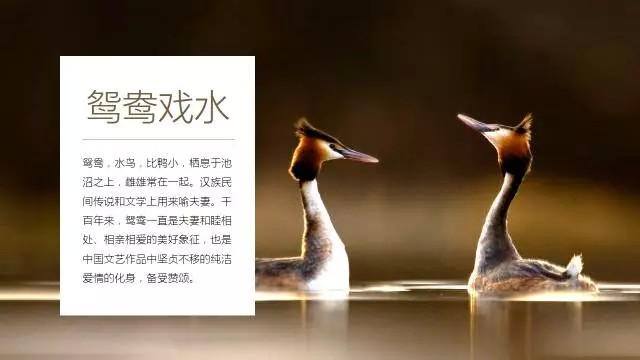 教你内容少如何用色块让PPT变得漂亮与高端