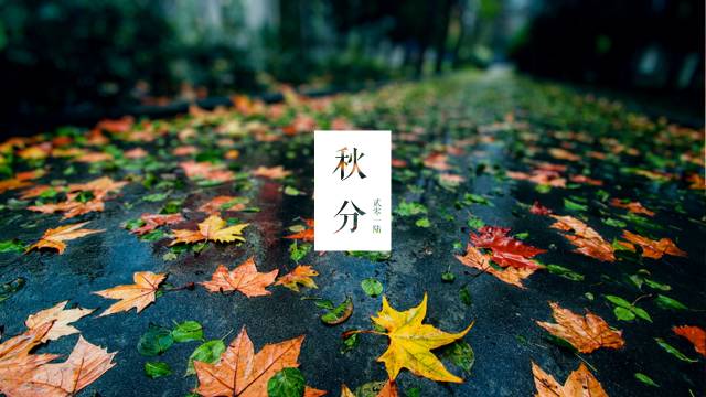 教你内容少如何用色块让PPT变得漂亮与高端