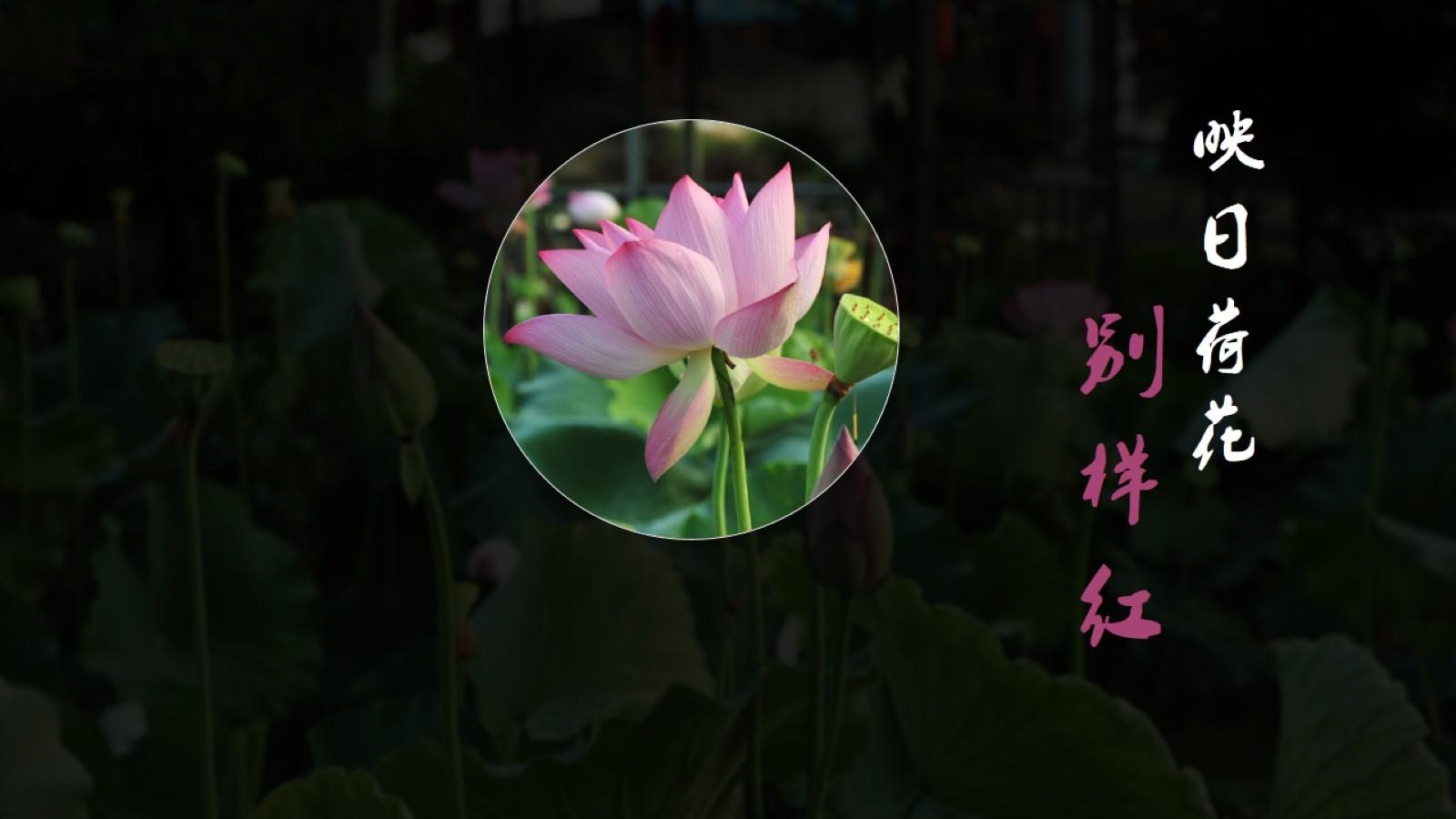 图片处理让PPT画面更具冲击力的5种方法