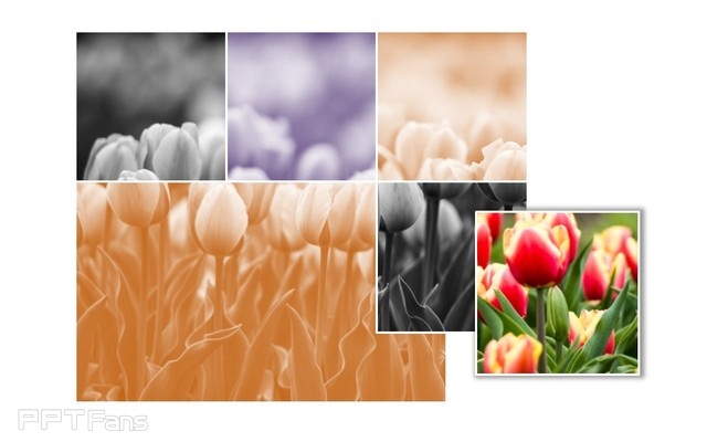 PPT制作技巧&nbsp;（95）：三步教你玩出万变图片阵列图