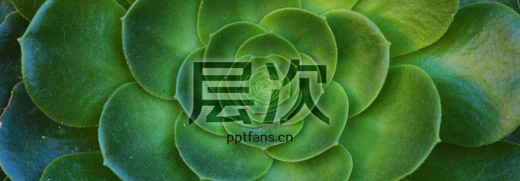 怎么提高PPT的层次性&nbsp;ppt重点