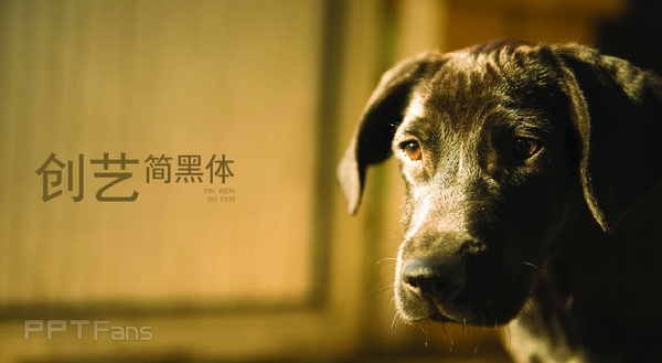 做好PPT排版的心得总结[深度总结篇]