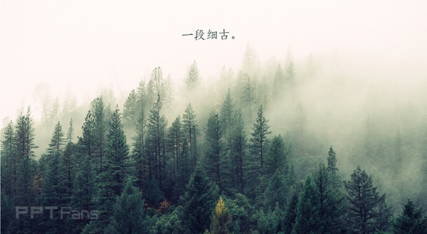 做好PPT排版的心得总结[深度总结篇]