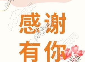 感恩有你简约鲜花线条信封唯美公众号次图