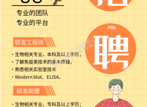 网络黄色背景秋季招聘手机海报下载推荐