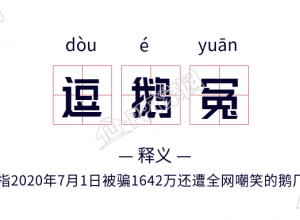 逗鹅冤网络热词释义拼音田字格海报下载推荐