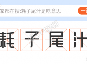 耗子尾汁网络热词的娱乐性公众号首图下载推荐
