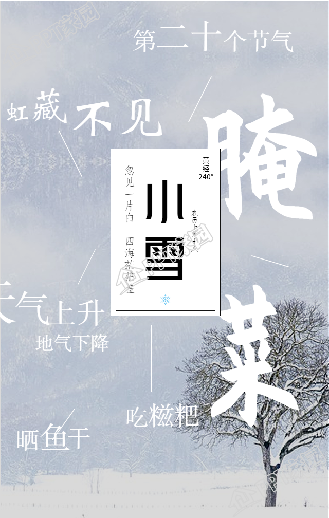 小雪节气生活习俗雪景手机海报