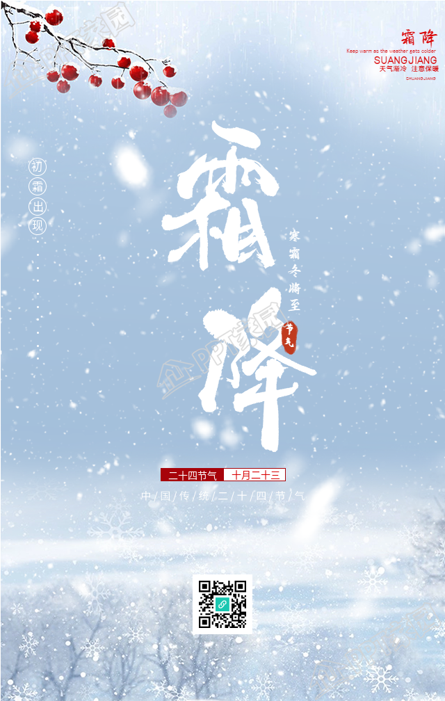 雪天枝头背景的霜降手机海报