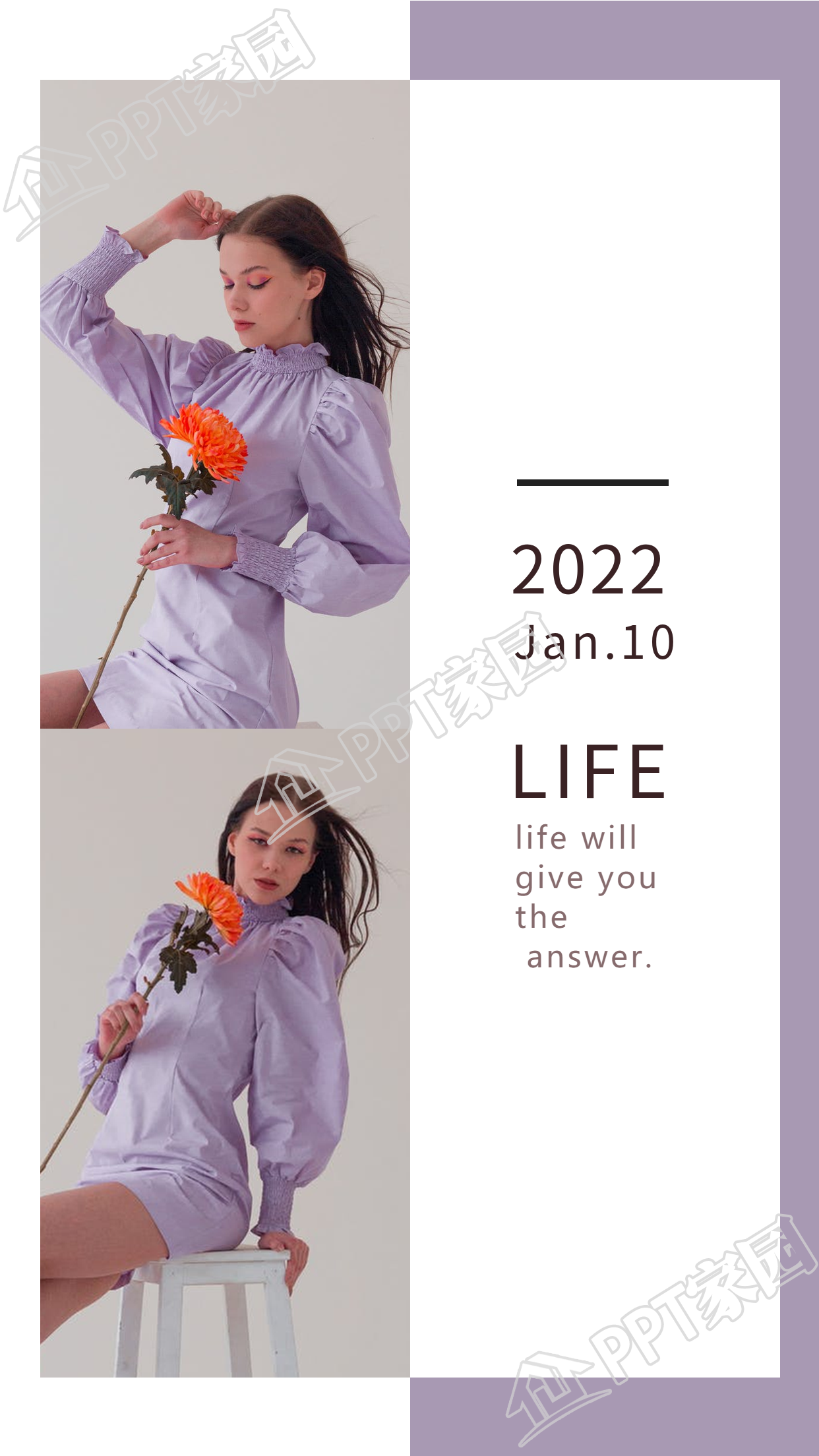 紫色边框简约清新图文上下无缝双图拼接