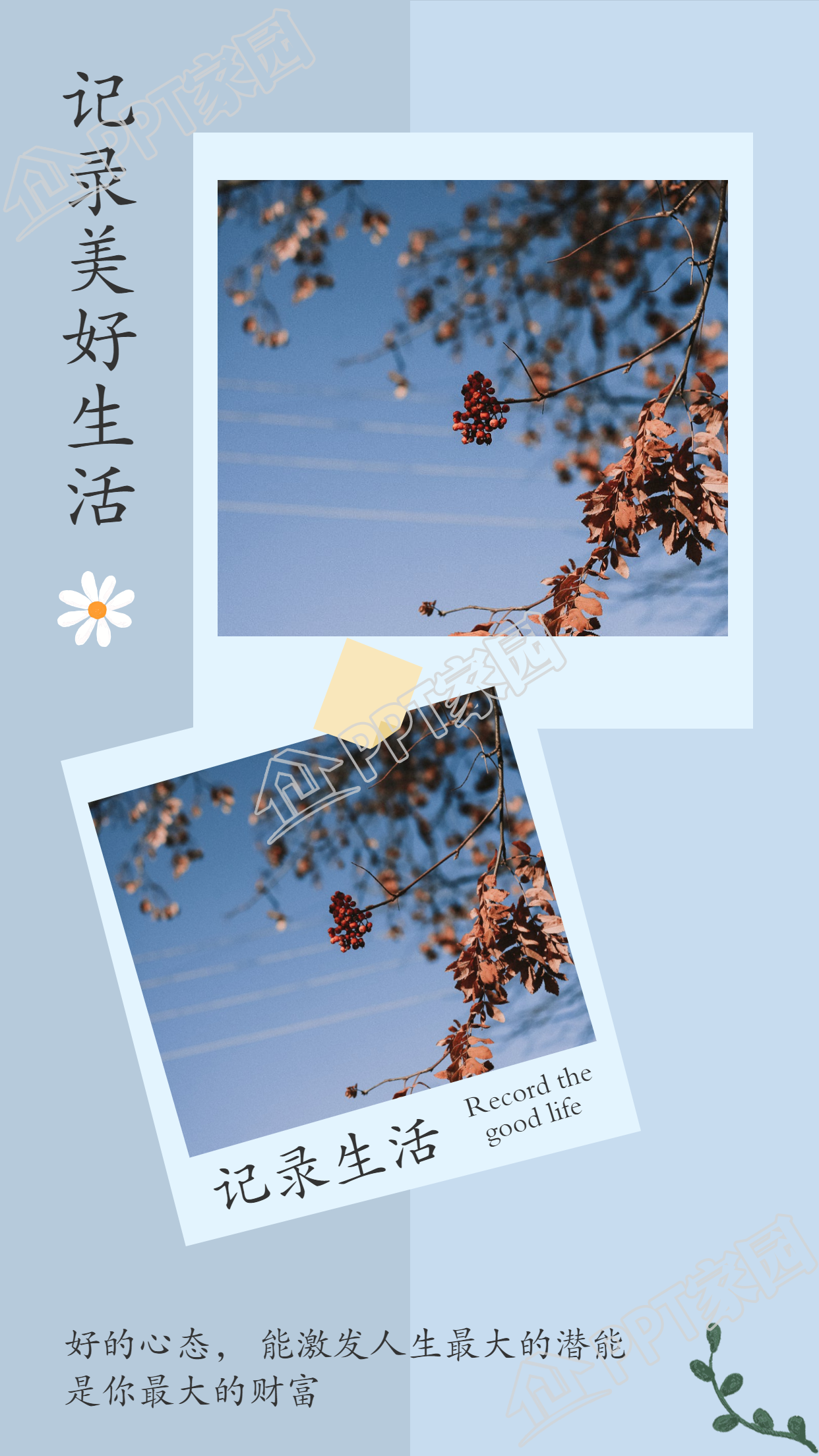记录生活双色拼色背景花朵绿叶上下双图竖形拼图